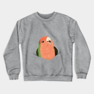 Giant pocket birb Crewneck Sweatshirt